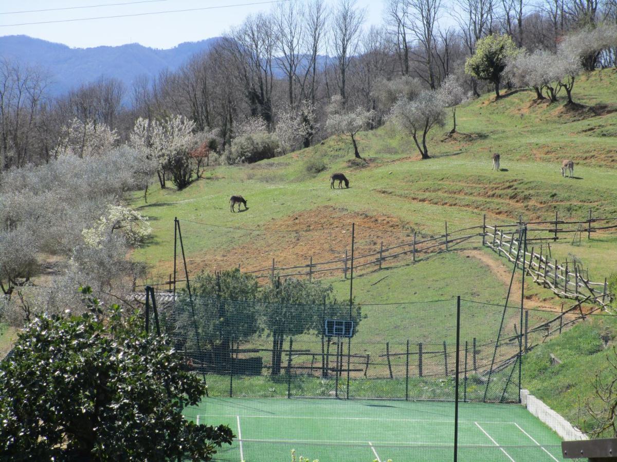 Podere La Piana Fivizzano Dış mekan fotoğraf